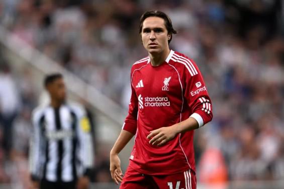 张子枫获选,亚洲电影大,奖女主角提,南宫28NG娱乐官网,南宫28NG娱乐官网在线娱乐平台