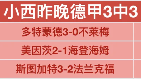 【强势开赛！3战17胜12，历史霸主荣耀再现，主场战力能否再续辉煌？】